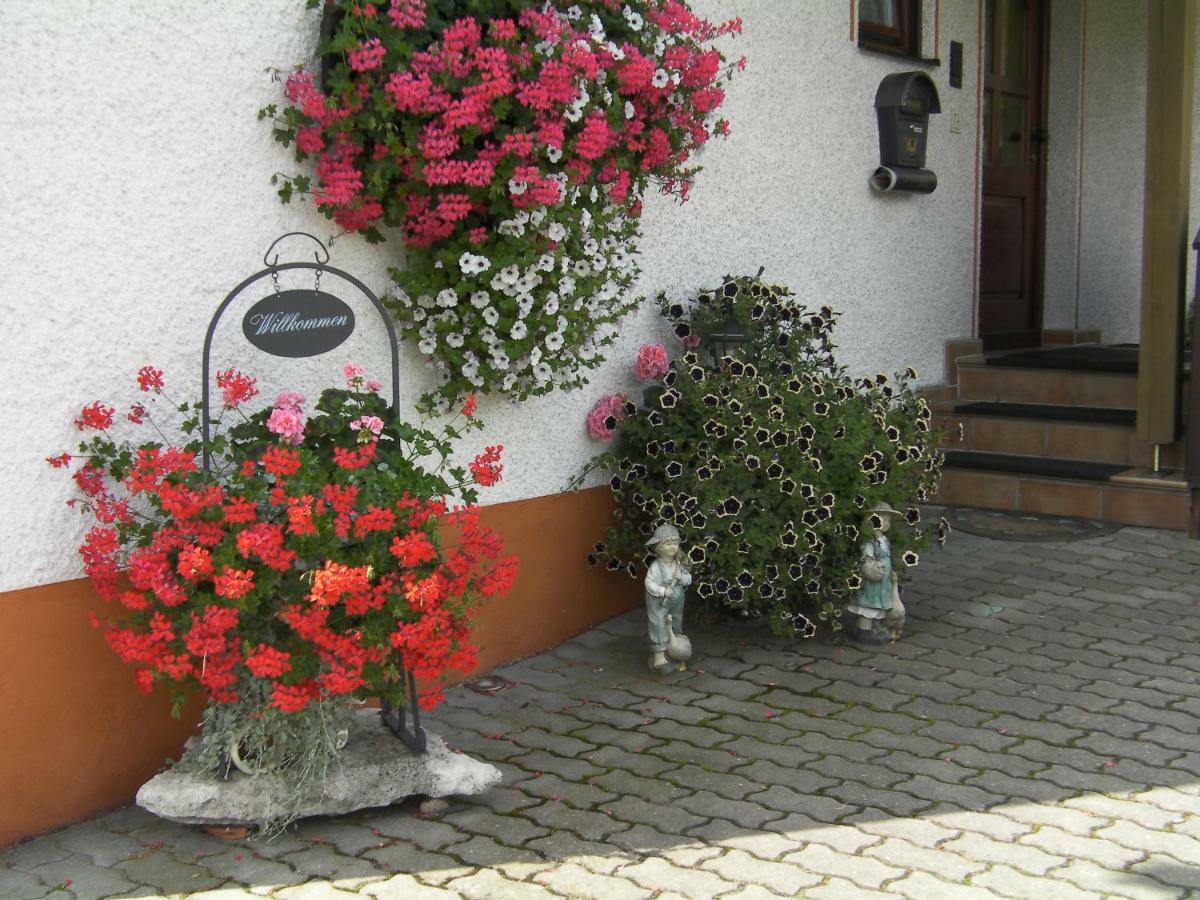 Haus Sonnenschein Διαμέρισμα Gossweinstein Εξωτερικό φωτογραφία